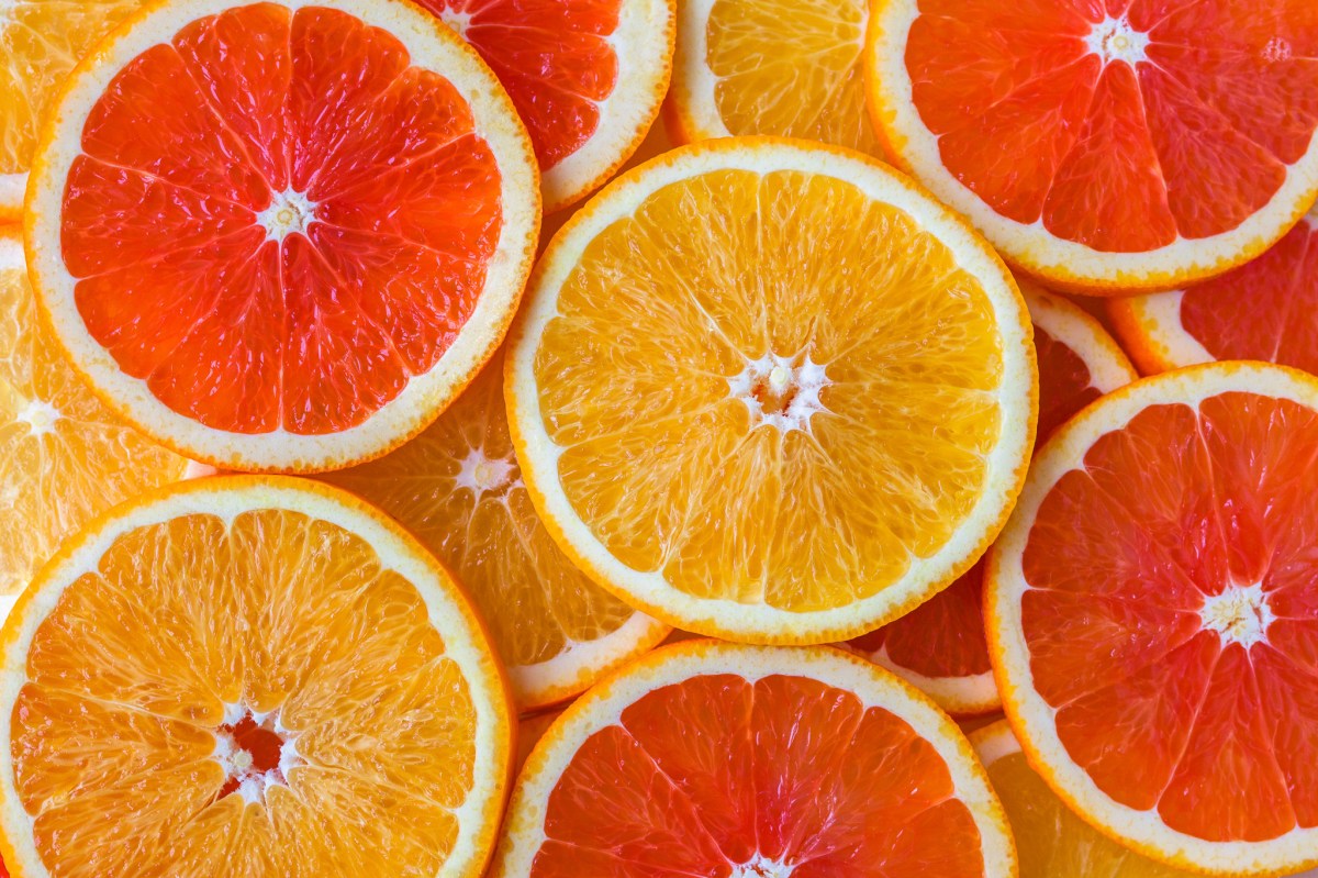 Orange Liqueurs Classified and Explained The Libation Lounge